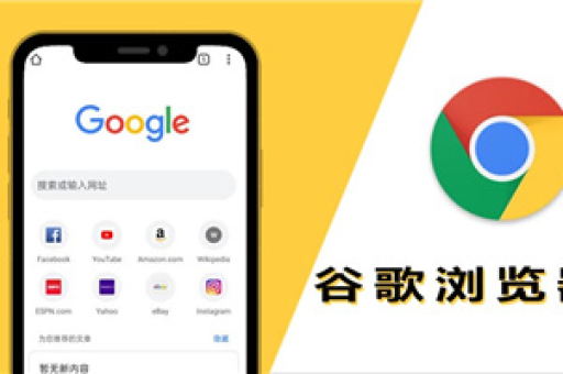 Chrome历史记录